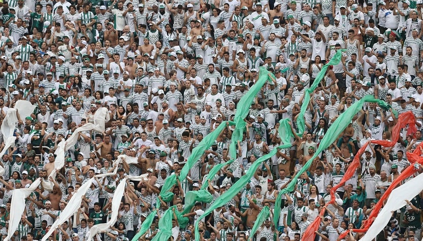 PALMEIRAS - Ano especial para o Palmeiras, devido à comemoração do centenário do clube, 2014 também foi para o torcedor esquecer. O alviverde de Palestra Itália acumulou fracassos em todas as competições que disputou e chegou a dezembro brigando para não cair para a Série B do Campeonato Brasileiro.