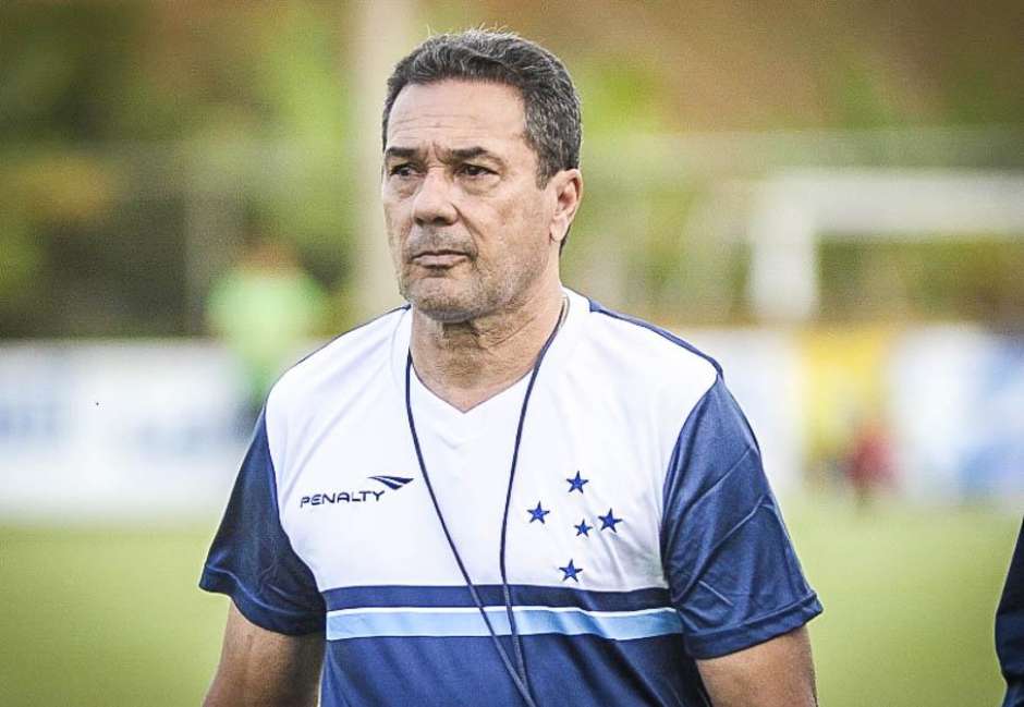 Em meados de 2015, assumiu o Cruzeiro no lugar de Marcelo Oliveira. Porém, a equipe celeste manteve resultados frustrantes e viu um possível rebaixamento no Brasileirão pelo retrovisor. Sua passagem durou cerca de dois meses.