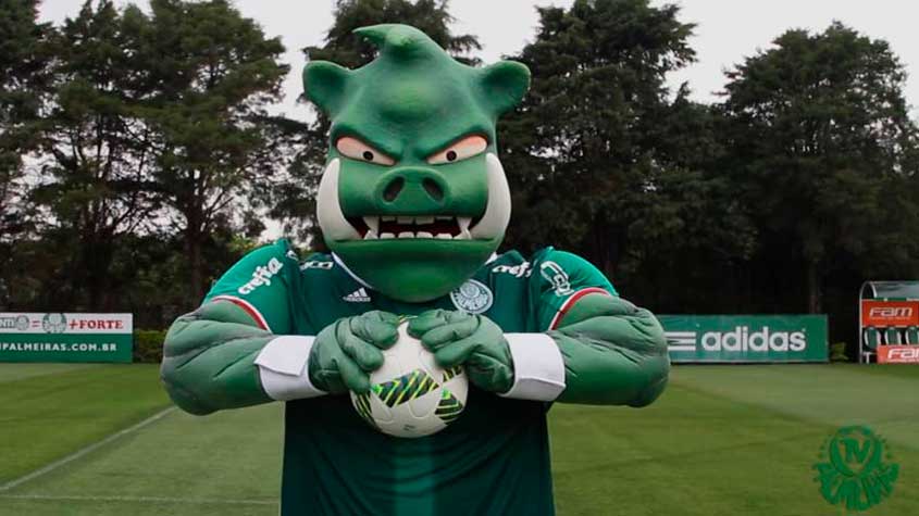 Palmeiras - Porco Gobatto: junto com o Periquito, o Palmeiras lançou seu segundo mascote, desta vez em referência ao mascote adotado pela torcida durante os tempos de jejum, o porco. O nome Gobatto foi dado em homenagem a João Roberto Gobatto, diretor de marketing do clube que queria adotar o animal como mascote do clube durante a década de 80. 