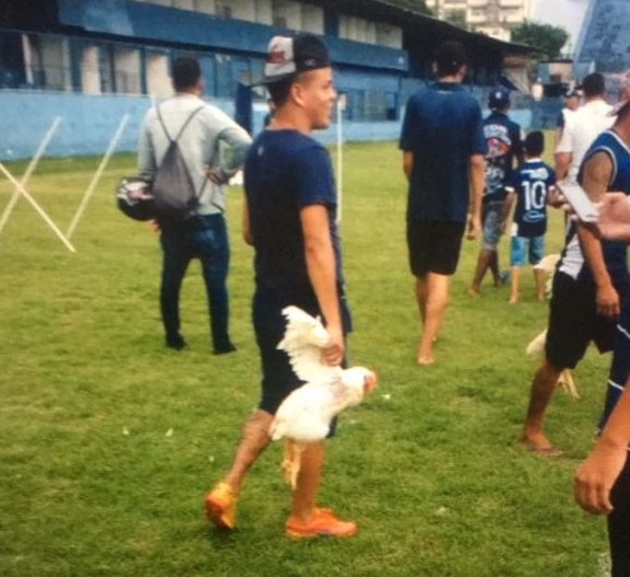 Torcedor do Remo leva galinha para o Estádio Baenão em protesto contra diretoria em 2017.