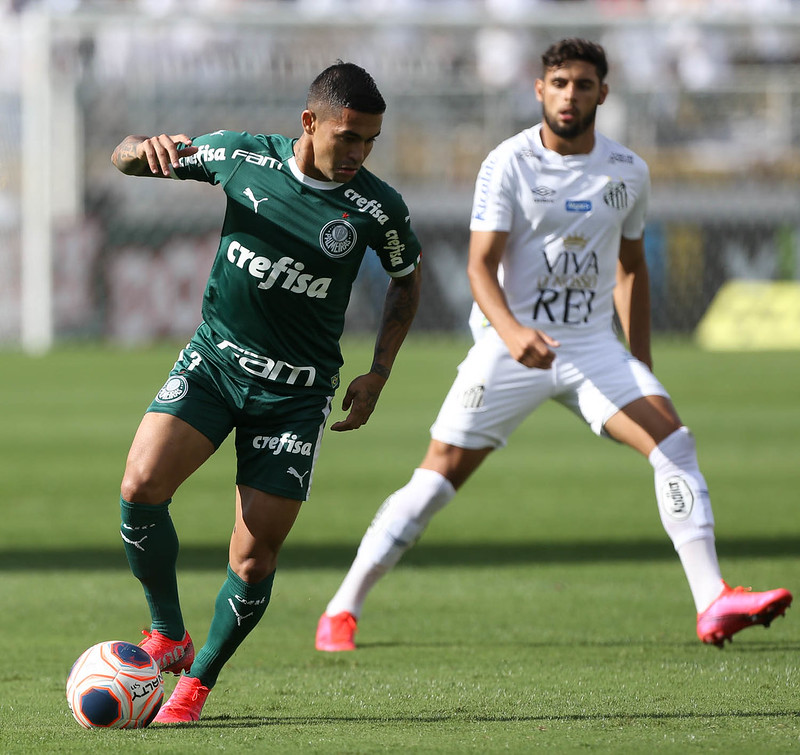 O Palmeiras ficou no 0 a 0 com o Santos, na tarde deste sábado, no Pacaembu, pela 8ª rodada do Campeonato Paulista. Os grandes destaques do Verdão no empate foram o lateral-esquerdo Viña e o sempre incisivo atacante Dudu. Confira as notas do Palmeiras no LANCE! 