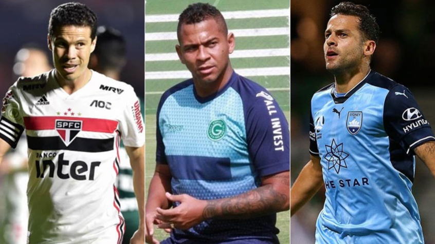 Pernambucano - Já entre os pernambucanos, temos bons jogadores, como Hernanes, Walter e Bobô. O time do estado seria: Rodolfo (Chapecoense), Mariano (Galatasaray), Edson Silva (Novorizontino), Flávio (Náutico), Diego Renan (CSA), Hernanes (São Paulo), Caça Rato (Santa Cruz), Sandro (Sport), Walter (Goiás), Felipe (Figueirense) Bobô (Hyderabad).