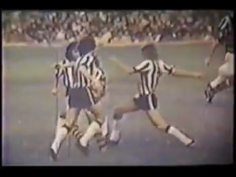 Em 1975, o Botafogo venceu o Fluminense, por 1 a 0, porém os tricolores sagraram-se campeões pelo saldo de gols no triangular final completado pelo Vasco