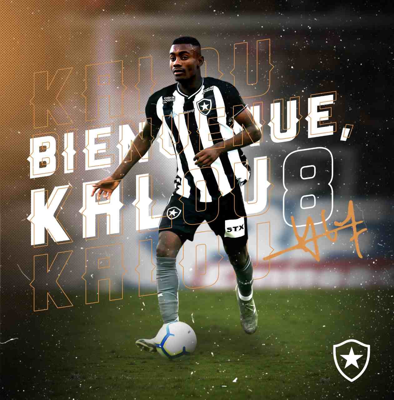 FECHADO: O segundo reforço de renome internacional do Botafogo para a temporada está liberado para entrar em campo. O nome de Salomon Kalou apareceu no BID (Boletim Informativo Diário) da CBF nesta quinta-feira e ele, consequentemente, pode estrear pelo Alvinegro.