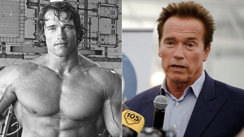 Arnold Schwarzenegger (Áustria/EUA) - Maior nome do fisiculturismo, sete vezes Mr. Olympia (o maior evento deste esporte) construiu uma carreira de sucesso planetário no cinema e ao aventurar-se na política repetiu o êxito: eleito (2003) e reeleito (2006) para o cargo de governador da Califórnia, o mais populoso e principal estado americano, pelo Partido Republicano. Nos últimos anos, retomou a carreira de ator e é influente representante de seu partido no estado.