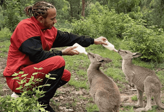 Falando em sustentabilidade, Lewis Hamilton é vegetariano, ou seja, não consome nada de origem animal. Ele é bastante engajado no tema e até lançou um fast food vegano, a Neat Burger, em Londres.