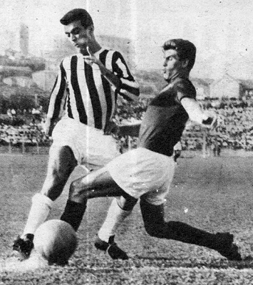 Leonardo Colella (Nardo) - atacante - 1955/1956 - 21 jogos e 7 gols - Clubes no Brasil: Corinthians, Comercial, Palmeiras, Portuguesa e Ponte Preta