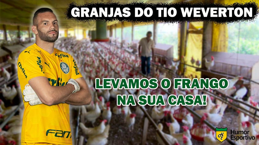 Memes: Frango de Weverton e grande partida de Cássio foram os destaques nas zoeiras do Dérbi. Confira na galeria!