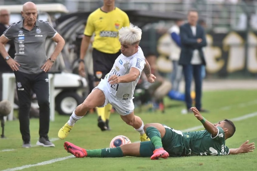 Em Santos x Palmeiras, quem está na frente no retrospecto é o Verdão. Foram 137 vitórias do Palmeiras, contra 105 triunfos do Peixe. As equipes empataram 86 vezes.