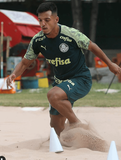 Gabriel Menino - Palmeiras