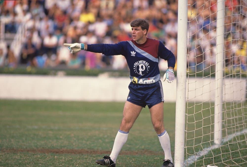 Zetti, porém, foi revelado pelo Palmeiras, onde jogou 98 partidas de 1987 a 1989, segundo o Almanaque do Palmeiras.