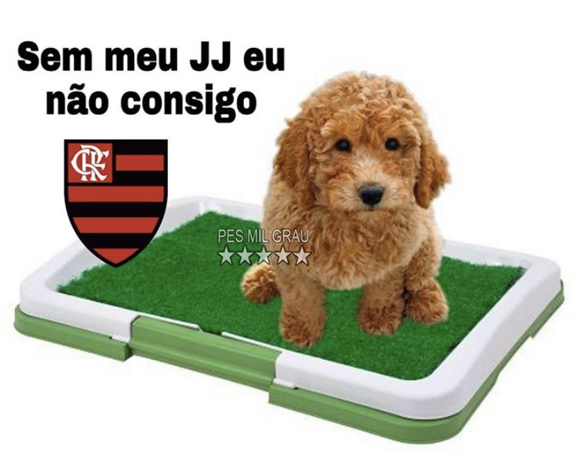 Brasileirão: os melhores memes da vitória do Atlético-MG sobre o Flamengo