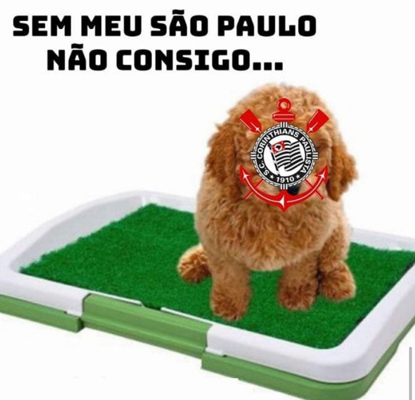Os melhores memes do título do Campeonato Paulista de 2020 do Palmeiras