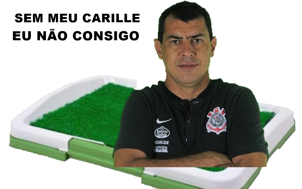 Os melhores memes do título do Campeonato Paulista de 2020 do Palmeiras