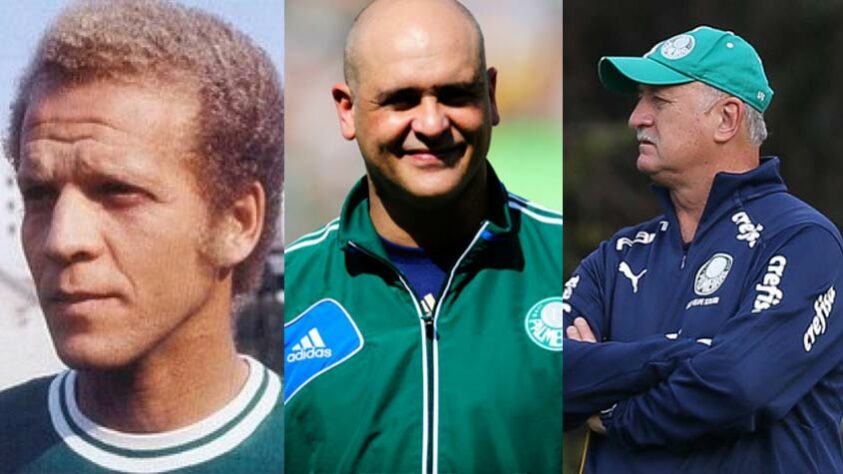 Por fim, é difícil quantificar e apresentar todos os craques que já passaram pela história do Palmeiras, mas alguns dos grandes nomes do clube são Oberdan Cattani, Leivinha, Luis Pereira, Djalma Santos, Heitor, Ademir da Guia, Dudu (volante), Leão, Marcos, Alex, Evair, Edmundo, Felipão, Oswaldo Brandão, Luxemburgo...