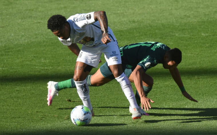 O resultado final dos palpites do LANCE! ficou Santos 10 x 9 Palmeiras, sendo os dois técnicos, Marinho e a força do elenco alviverde os principais destaques dos redatores.