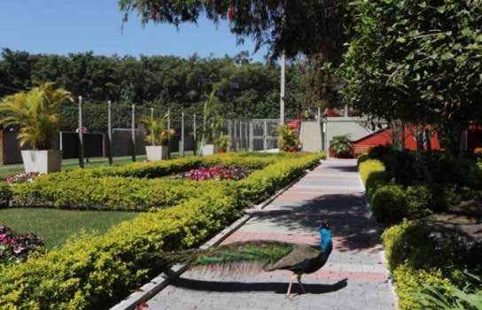 São Paulo - CT Frederico Antonio Germano Menzen: Conhecido popularmente como CT da Barra Funda, dá nome ao Sócio número 1 do Tricolor, que presidiu o clube de 1936 a 1938.