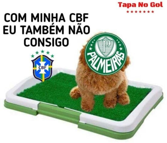 Brasileirão: os melhores memes de Palmeiras 1 x 1 Flamengo