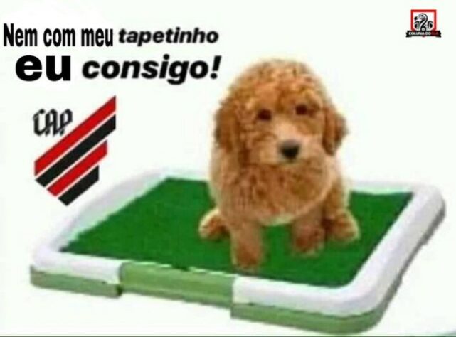 Memes: torcedores do Flamengo comemoram vitória sobre o Athletico Paranaense pela Copa do Brasil