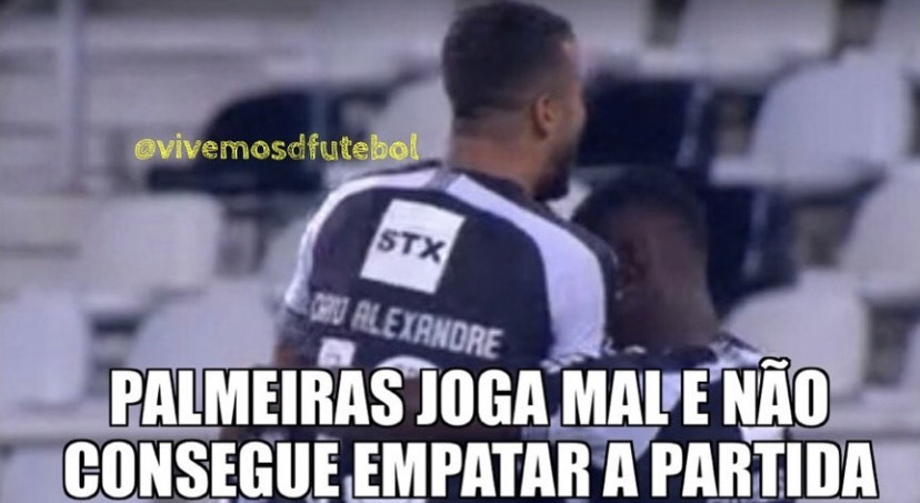 Brasileirão: os melhores memes de Botafogo 2 x 1 Palmeiras