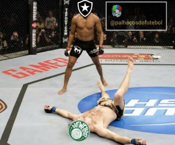 Brasileirão: os melhores memes de Botafogo 2 x 1 Palmeiras