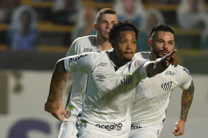 Terça-feira (20) - Libertadores - 19h15 - Santos x Defensa y Justicia (Conmebol TV: NET/Claro TV - Canais 711, 712, 713 e 714; SKY - Canais 220 e 221- 620 e 621 em HD)