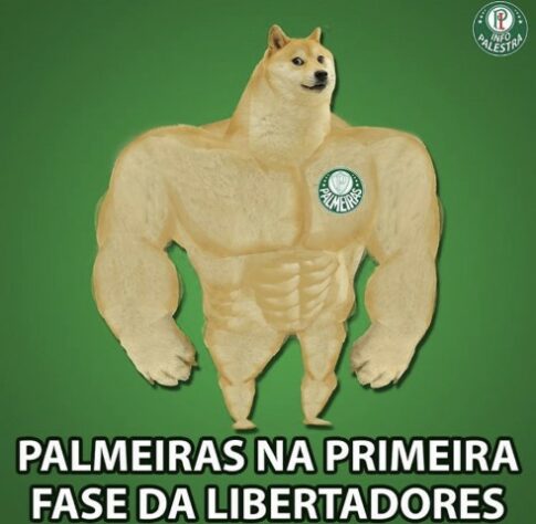 Libertadores da América: os melhores memes de Palmeiras 5 x 0 Tigre