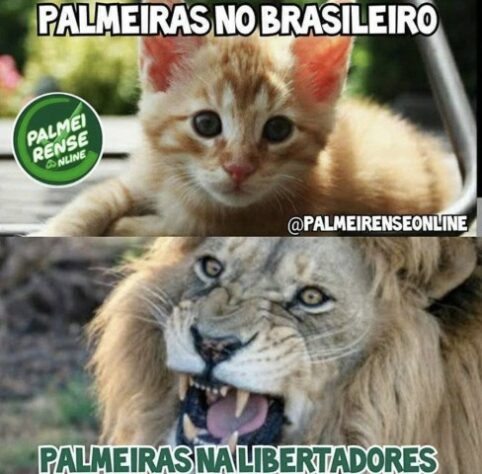Libertadores da América: os melhores memes de Palmeiras 5 x 0 Tigre
