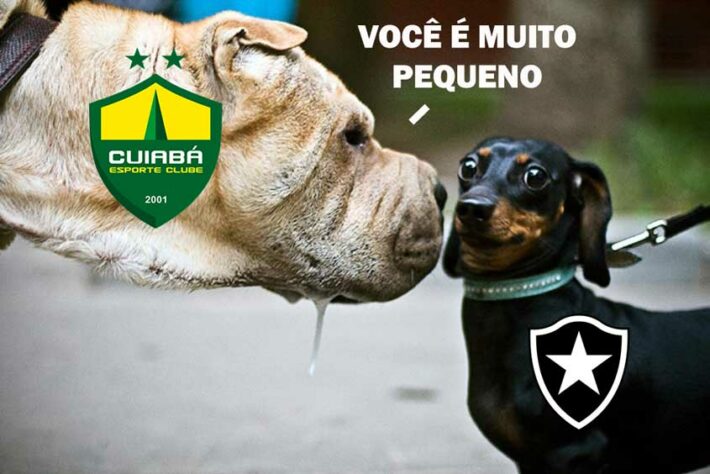 Derrotado na primeira partida das oitavas de final, o Botafogo deu adeus à Copa do Brasil após o empate com o Cuiabá na noite desta terça-feira. A eliminação para a equipe da Série B, fez com que o Alvinegro virasse imediatamente alvo de memes dos rivais na web. Confira na galeria! (Por Humor Esportivo)