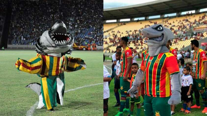 Antes e depois: o Sampaio Corrêa teve uma grande evoçução no seu mascote. O Tubarão ganhou nova roupa e uma aparência bem mais 'bombadona'