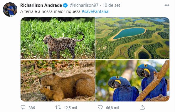 Ele postou matérias e fotos para que seus seguidores tivessem conhecimento e ajudassem o Pantanal durante período de queimadas no ano passado.