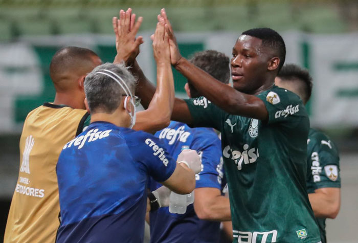 7º colocado – Palmeiras (38 pontos) – 23 jogos / 2.6% de chances de título; 58.5% para vaga na Libertadores (G6); 0.013% de chance de rebaixamento.