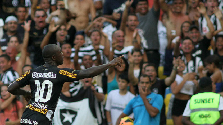 Mesmo sem o Engenhão, o time do Botafogo deu conta do recado. Jogando no Maracanã, o Alvinegro terminou na quarta colocação no Campeonato Brasileiro de 2013 e garantiu uma vaga na Taça Libertadores, competição que não disputava desde 1996.