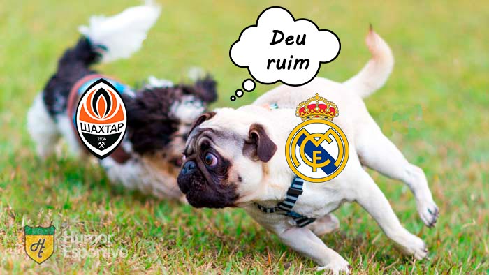 Champions League: os memes de Shakhtar Donetsk 2 x 0 Real Madrid