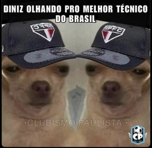 Memes: Torcedores do São Paulo exaltam Fernando Diniz e tiram onda com liderança do Brasileirão