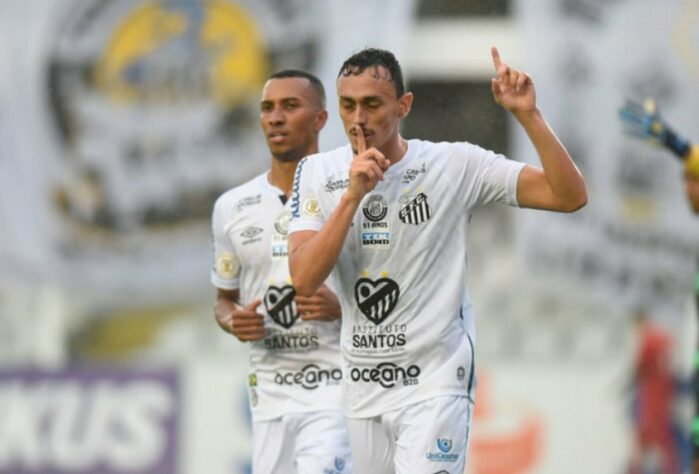 8º colocado – Santos (38 pontos/25 jogos): 0,45% de chances de ser campeão; 33% de chances de Libertadores (G6); 0,038% de chances de rebaixamento.