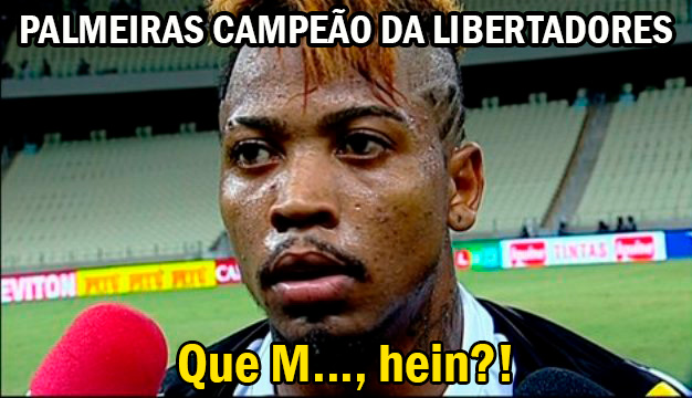 Zoeira liberada! Torcedores do Palmeiras tiram onda e postam memes após título da Libertadores da América