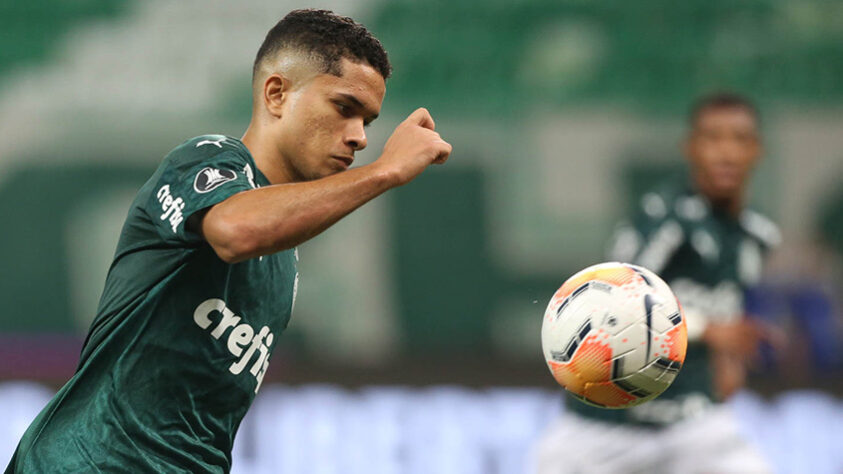 Gabriel Silva (18 anos - atacante): Tem 16 partidas pelo Palmeiras e tem chance de atuar como titular contra o Botafogo.