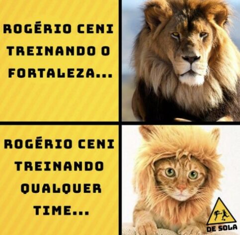 Brasileirão: os melhores memes de Flamengo 0 x 2 Ceará