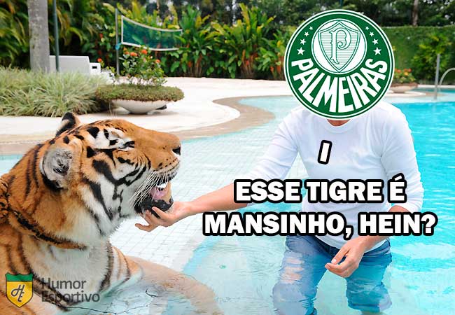 1ª rodada (04/03/2020) - Tigre 0 x 2 Palmeiras