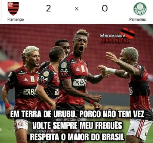 Brasileirão: os melhores memes de Flamengo 2 x 0 Palmeiras