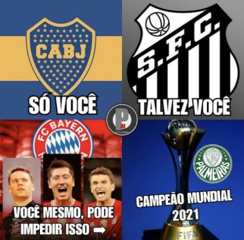 Palmeiras: classificação para a final da Libertadores gera memes