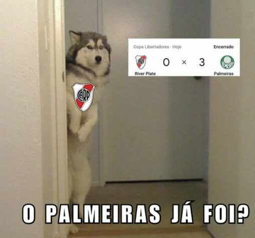 Libertadores da América: os melhores memes de River Plate 0 x 3 Palmeiras