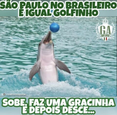 Brasileirão: goleada do Internacional por 5 a 1 sobre o São Paulo rende memes na web