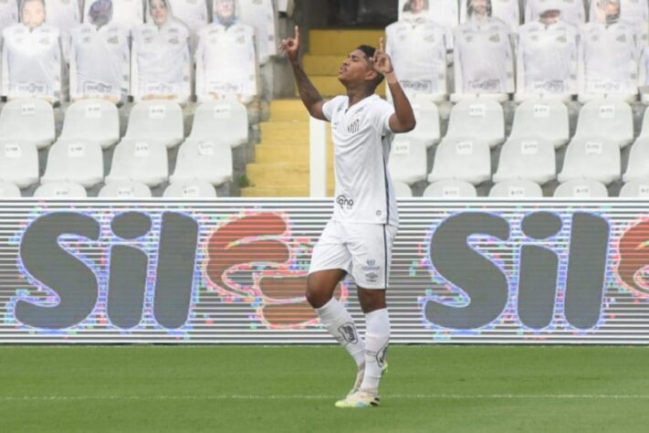 Raniel - Clube: Santos - Posição: atacante - Idade: 25 anos - Jogos no Brasileirão 2021: 1 - Situação no clube: voltando de lesão, concorrência forte na posição.