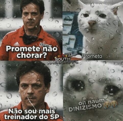 Demissão de Fernando Diniz do São Paulo inspira memes nas redes sociais