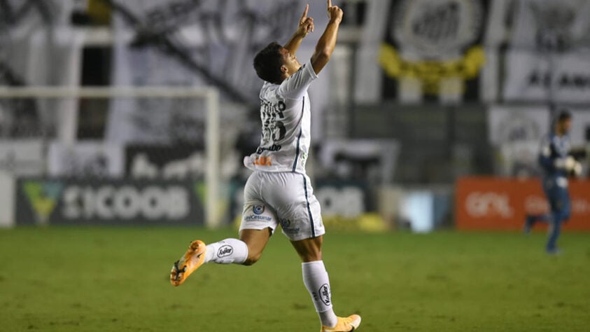 9º colocado – Santos (50 pontos/35 jogos): 0.0% de chances de ser campeão; 44.3% de chances de Libertadores (G6); 0% de chances de rebaixamento.