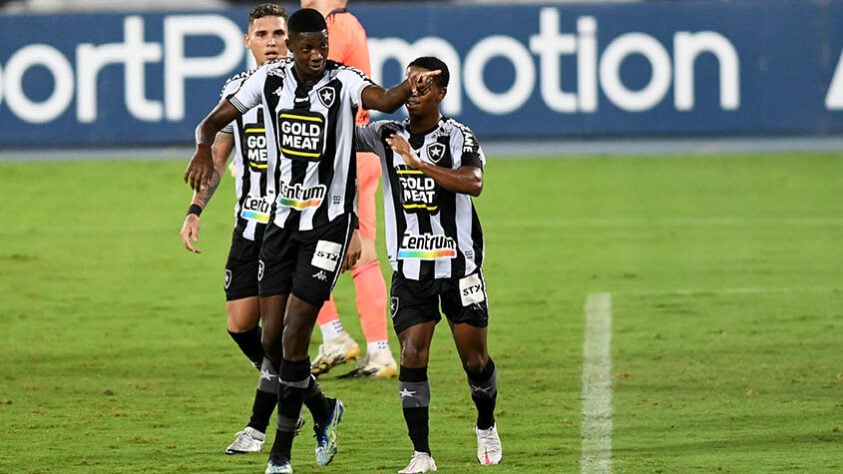 13º lugar: Botafogo - 9.529 pontos