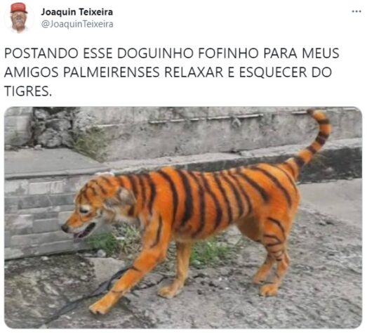 "Palmeiras não tem Mundial": rivais zoam time paulista em memes após derrota para o Tigres na semifinal do Mundial de Clubes