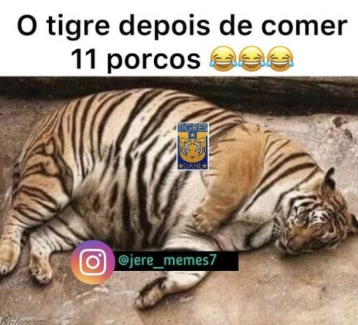 O PALMEIRAS NÃO TEM MUNDIAL TIGRES 1X0 SEM MUNDIAL 